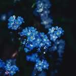 Scott nimmo - @scottnimmoo - Instagram