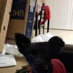Scott Nimmo - @scott13077 - Instagram
