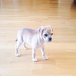 Scott Nimmons - @scottnimmons - Instagram