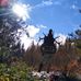Scott Nolting - Facebook