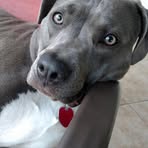 Scott Norberg - Facebook