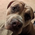 Scott Nunley - @scottnunley8 - Instagram