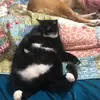 Scott - @scottk60 - TikTok