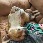 Scott Nutting - @scott_nutting - Instagram