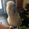 scottnuttington - @scottnuttington - TikTok