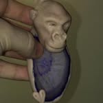 Scott Oatley - @oatleysculpture - Instagram