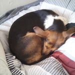 Brayden scott oldham - @braydenscottoldham - Instagram