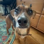 Scott Oldham - @scott_oldham7373 - Instagram