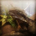 scott Oldham - @scottoldh - Instagram