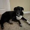 Scott - @scott.oldham - TikTok