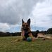 Scott Olive - Facebook