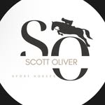 Scott Oliver Sport Horses - @scottoliversporthorses - Instagram