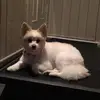 Scott Olszewski825 - @scottolszewski825 - TikTok