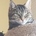 Scott Olszewski - Facebook