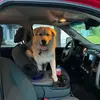 scottoneal06 - @scott.oneal6 - TikTok