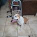 Scott Onnen - Facebook