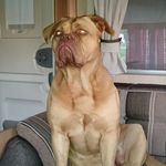 Scott - @scottorchard7415 - Instagram
