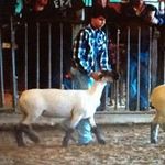 Scott Ortego - @scottortego - Instagram
