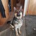Scott Oster - Facebook