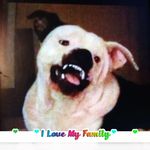 Otis Scott - @otis.scott.988 - Instagram