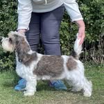 Lynne Scott at overbecks - @lynne_scott_overbeckspbgv - Instagram