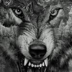Scot Overbeck - @scotoverbeck - Instagram