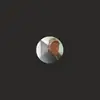 scottpanton - @scottpanton - TikTok