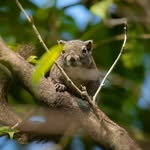 Scott Parent - @parent3065 - Instagram