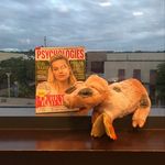 Scott Parrillo - @scott_parrillo - Instagram
