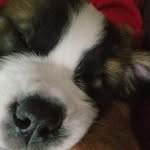 Scott Peabody - @eber317 - Instagram