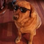R Scott Peiffer - @rspeiffer - Instagram