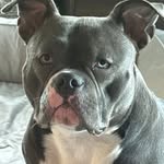Scott Peltier - @scottpawtucket - Instagram