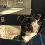 Scott Peltier - Facebook