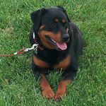 Jeffery Scott Pendley - @jeffery_s._pendley - Instagram