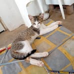Persio Scott - Facebook