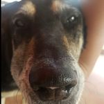 Scott - @scott_perrines - Instagram