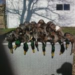 Scott Perritt - @perrittscott - Instagram