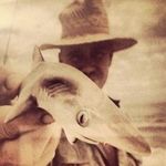 Scott F. Perryman - @potscaryman - Instagram