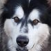 Scott Perryman - Facebook