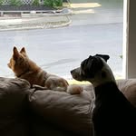 Scott Perschbacher - @perschba - Instagram
