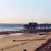 Scott Petrey - @scott.petrey - TikTok