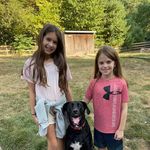 Scott Petrone - @scottvwgti - Instagram