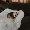 Scott Petrusic - @scott.petrusic - TikTok