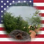 Joseph Lee Scott Petry - @joeypetry0 - Instagram