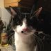 Scott Phegley - Facebook