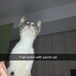 Scott Phegley - @scottphegley04 - Instagram