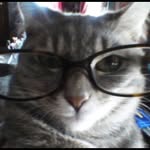 Scott Pickering - @scottpickering - Instagram