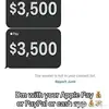 SCOTT_PIGGY - @scott_piggy1 - TikTok