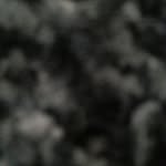Scottpiggin - @scottpiggin - Instagram