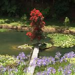 Scott Pilcher - @pilcherscott - Instagram